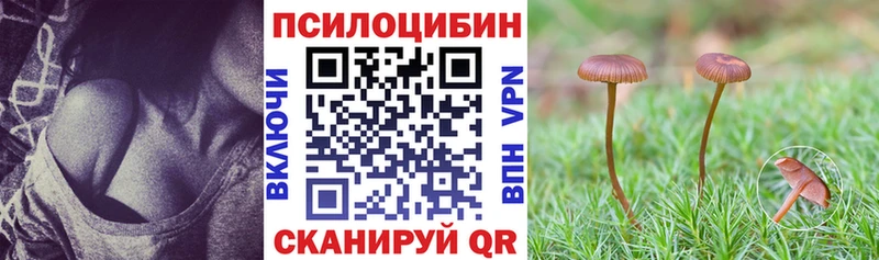 MEGA ССЫЛКА  это какой сайт  Анапа  Галлюциногенные грибы Psilocybine cubensis  сколько стоит 